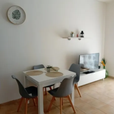 Guijarro Playa De La Conchª Appartement